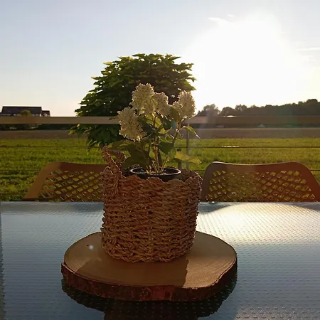Apartmaji Aida * Moravske Toplice