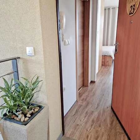 Apartmaji Aida Apartment *