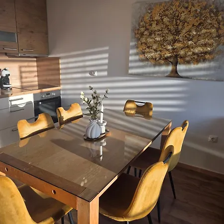 Apartmaji Aida Appartamento